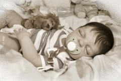 0423nicholas05