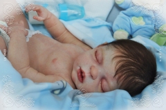0423nicholas10