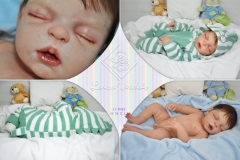 0423nicholas11