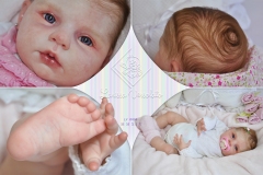 0434stella11