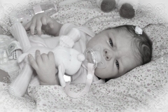 0441juliacristina11