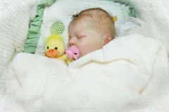 0449elisa08