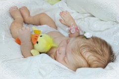 0449elisa11