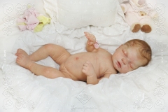 0449elisa12