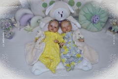 0453e0454aliceagnes01