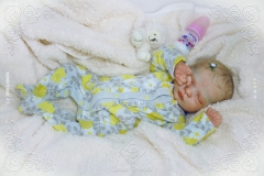 0453e0454aliceagnes02