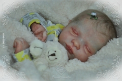 0453e0454aliceagnes04