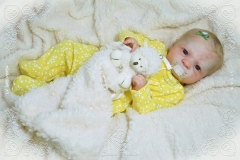 0453e0454aliceagnes07