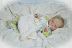 0453e0454aliceagnes08