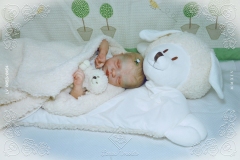 0453e0454aliceagnes13