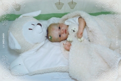 0453e0454aliceagnes14