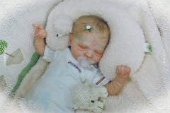 0453e0454aliceagnes16