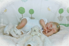 0453e0454aliceagnes17