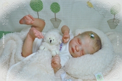 0453e0454aliceagnes19