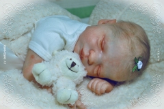 0453e0454aliceagnes21