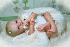 0453e0454aliceagnes22