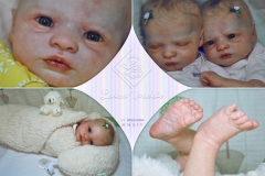 0453e0454aliceagnes24