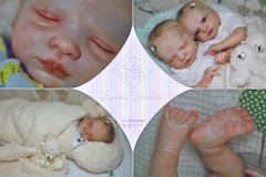 0453e0454aliceagnes25