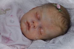 0473alice03