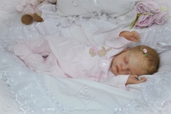 0473alice04