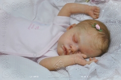 0473alice07