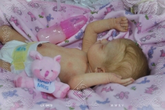 0473alice11
