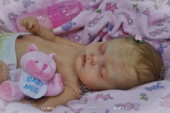 0473alice12