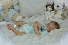 0477matheus10