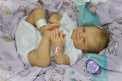 0478mariana11