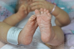 0478mariana12
