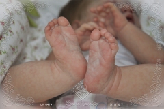 0479luiza03