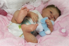 0484gabriela11