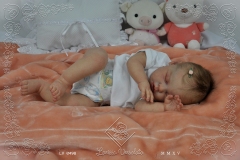 0498marcela12