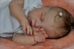 0498marcela13