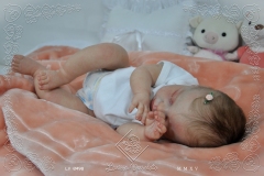 0498marcela14