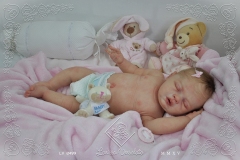 0499debora02