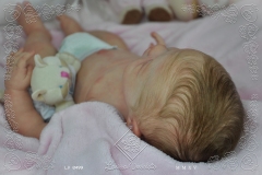 0499debora03