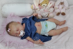 0499debora11