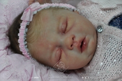 0499debora17