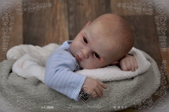Adan
