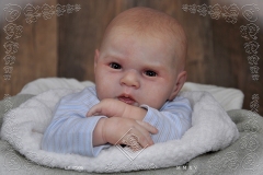 0506adan03