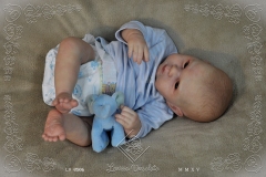 0506adan11