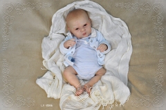 0506adan12