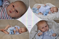 0506adan15