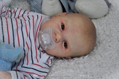 0506adan17