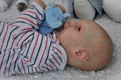 0506adan22