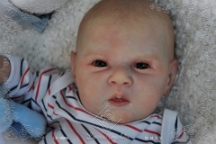 0506adan24