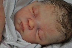 0514sophia04