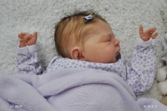 0514sophia18