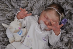 0514sophia37